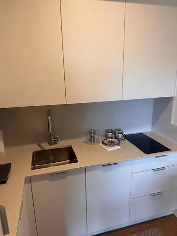 Apartment Silence Krass Z Prywatnym Jackuzi Szklarska Poreba